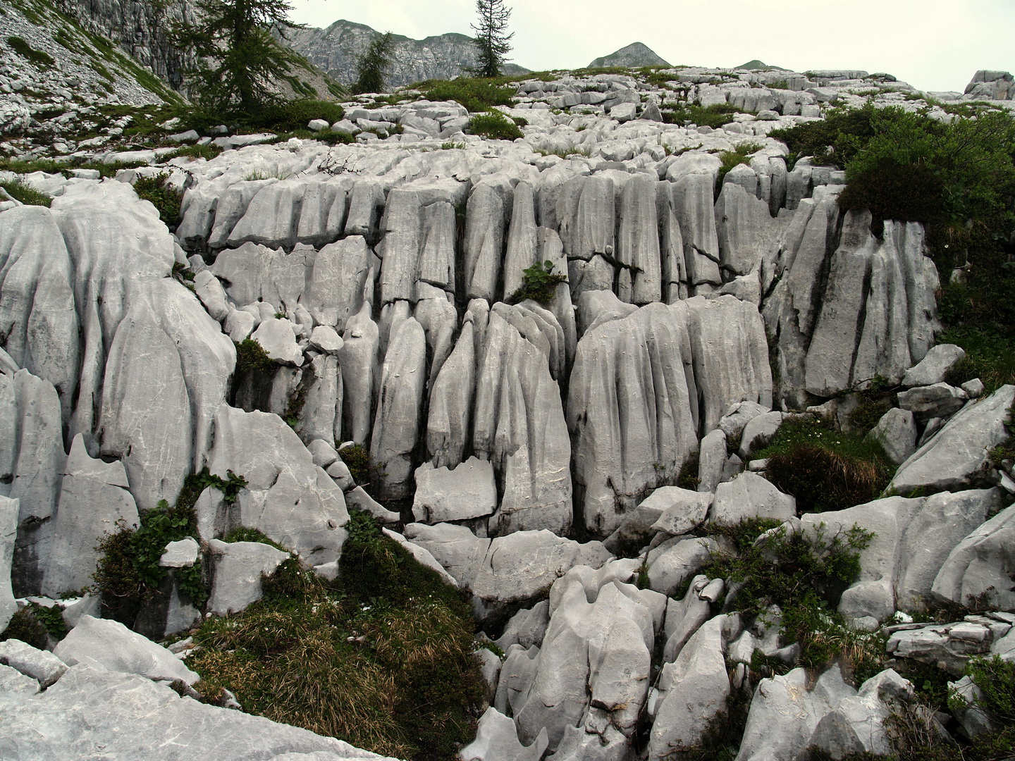 La Val Conchetta di Vilminore di Scalve: un gioiello da tutelare